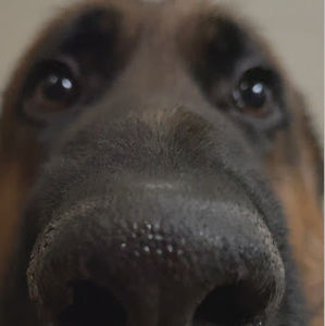 Meet your Posher, Mathew